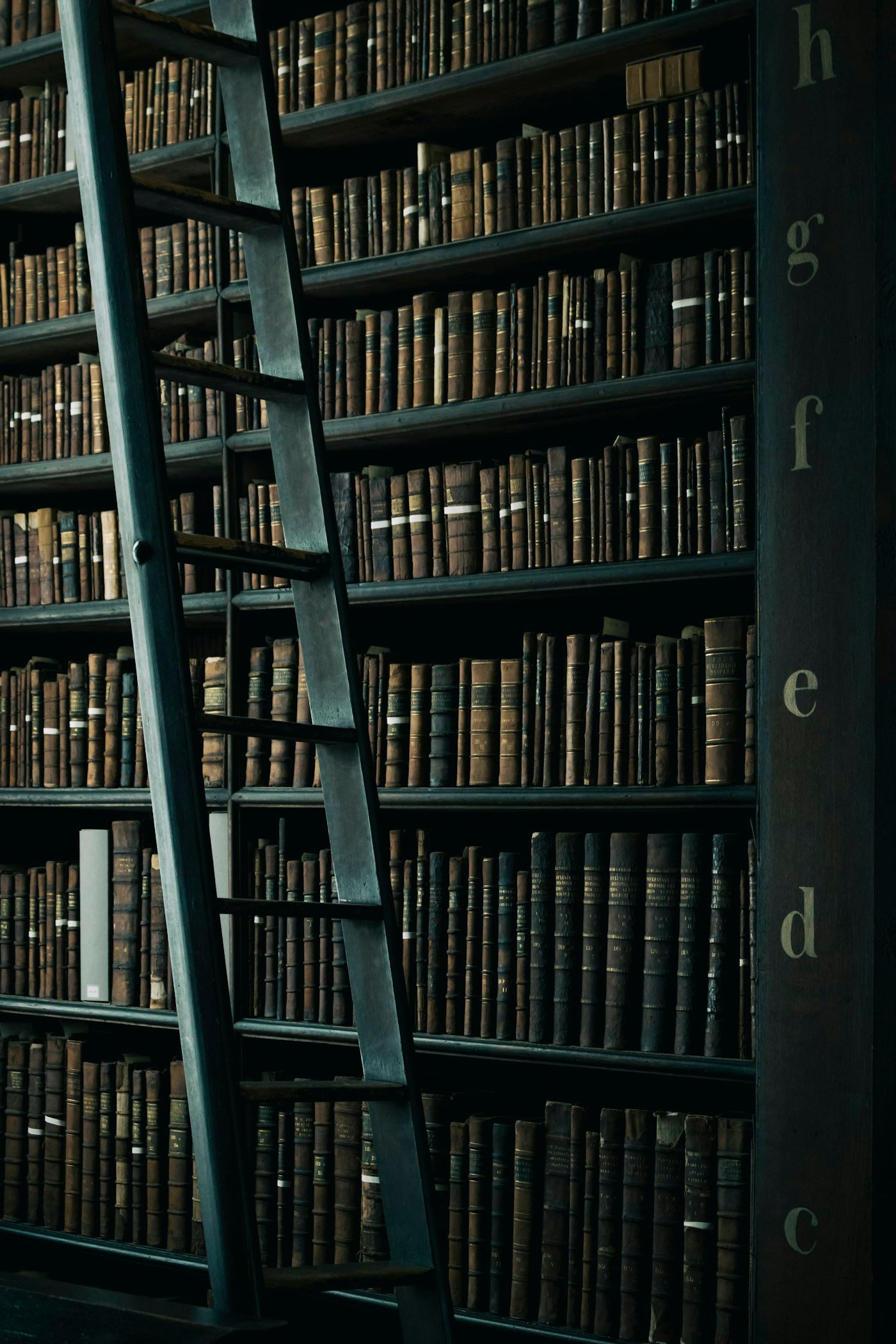 Tall library shelves of bound volumes with a wooden ladder